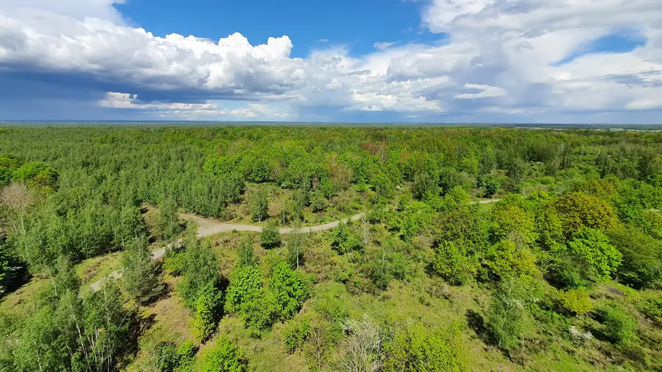 Weiter Blick vom Haselbergturm über Wald und Heide der Königsbrücker Heide