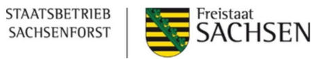 Staatsbetrieb Sachsenforst – Freistaat Sachsen, zur Startseite